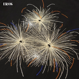 EMBROIDERY T-SHIRT FIREWORK #054